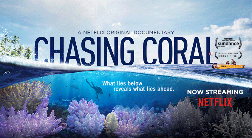 Chasing Coral: A Movie Screening