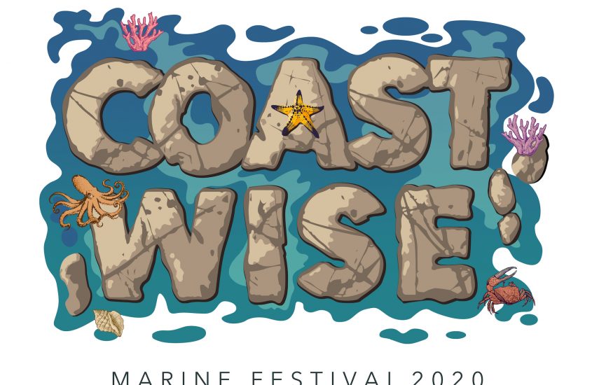 Coastwise Identity Design – The Story of a Logo